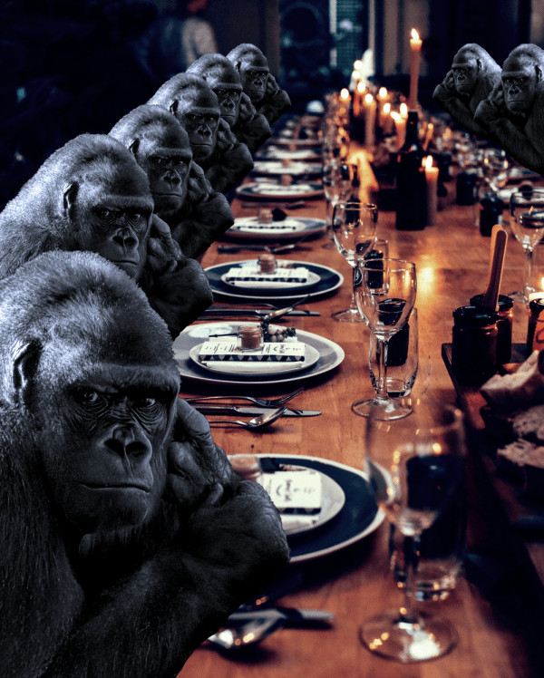 Monkeys eating dinner